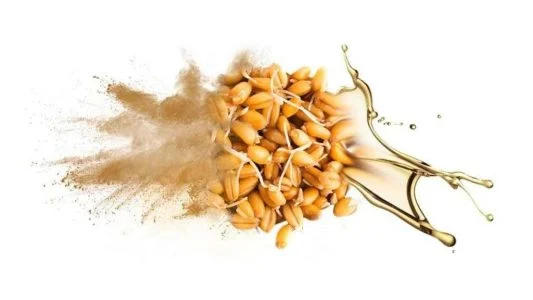 پروتیین موجود در جوانه گندم