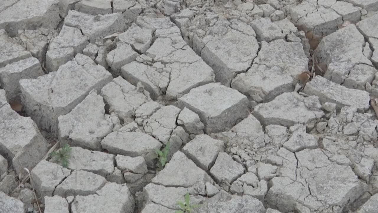 کدام ترسالی؟ در حال حاضر کمبود جدی آب داریم/ در این استان ها بارش ها زیر نرمال بوده است/ وارد چهارمین سال خشکسالی شده ایم/ منتظر تابستان گرم باشیم