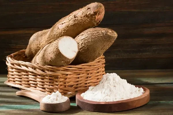 کاربردهای شگفت انگیز پودر نشاسته تاپیوکا در صنایع غذایی و دارویی
