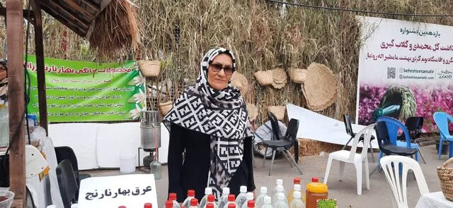 جشنواره | صنعت جشنواره «بهار نارنج» فرصتی برای تقویت صنعت گردشگری